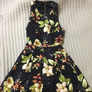 Papaya Navy Blue Floral Print Dress